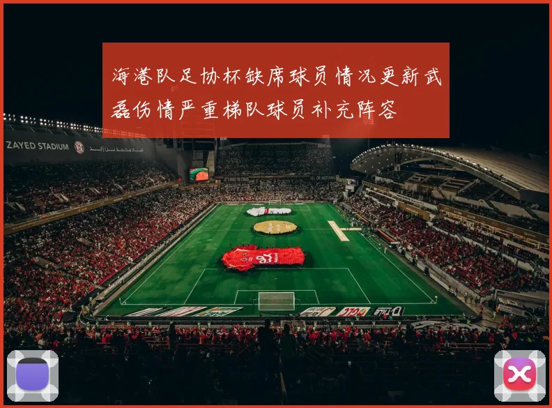 海港队足协杯缺席球员情况更新武磊伤情严重梯队球员补充阵容
